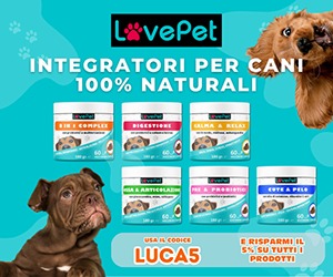 LovePet